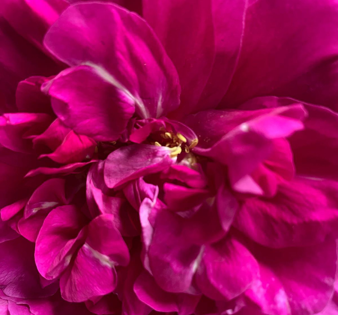 Einstiegsbild_Elena07