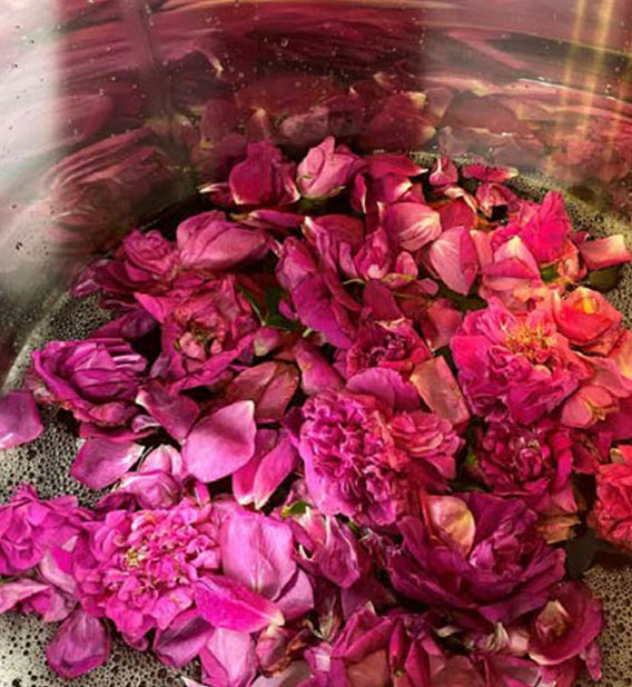 Glr_Rosenmanufaktur03