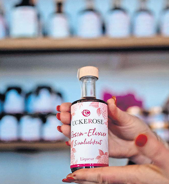 Glr_Rosenmanufaktur06